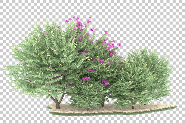 Bosque sobre fondo transparente. Representación 3d - ilustración