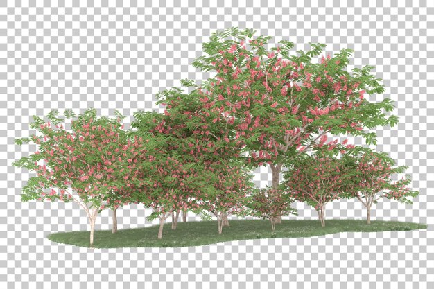 Bosque sobre fondo transparente. Representación 3d - ilustración