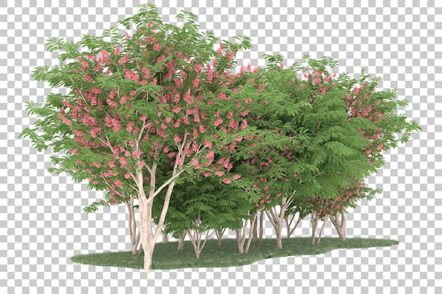 Bosque sobre fondo transparente. Representación 3d - ilustración