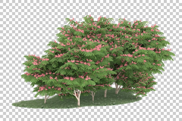 Bosque sobre fondo transparente. Representación 3d - ilustración
