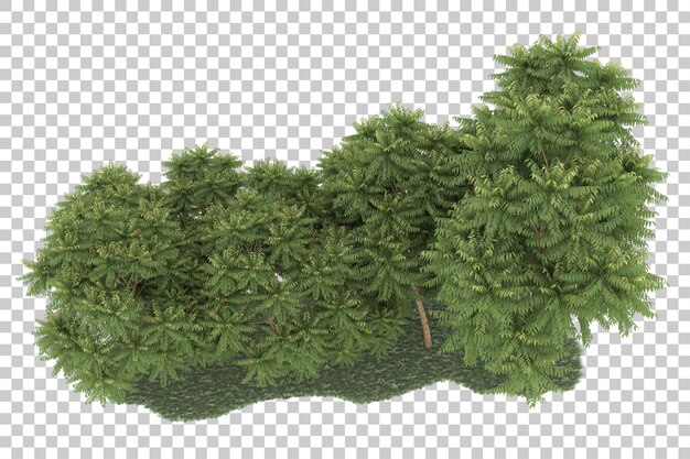Bosque sobre fondo transparente. Representación 3d - ilustración