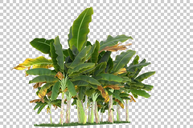 PSD bosque sobre fondo transparente. representación 3d - ilustración