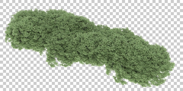 Bosque sobre fondo transparente. Representación 3d - ilustración