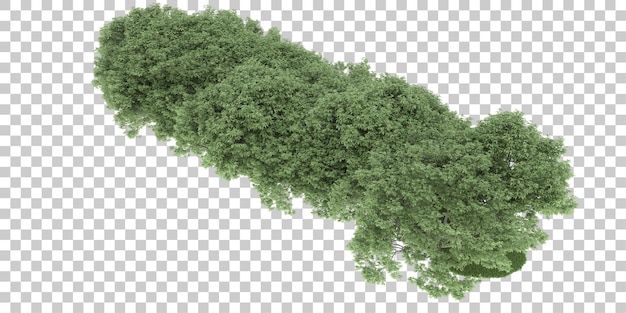 Bosque sobre fondo transparente. Representación 3d - ilustración