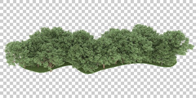 Bosque sobre fondo transparente. Representación 3d - ilustración