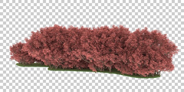 Bosque sobre fondo transparente. Representación 3d - ilustración