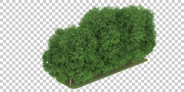 Bosque sobre fondo transparente. Representación 3d - ilustración