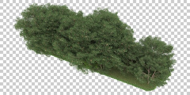 Bosque sobre fondo transparente. Representación 3d - ilustración