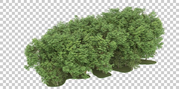Bosque sobre fondo transparente. Representación 3d - ilustración