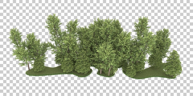 Bosque sobre fondo transparente. Representación 3d - ilustración