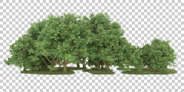 Bosque sobre fondo transparente. Representación 3d - ilustración
