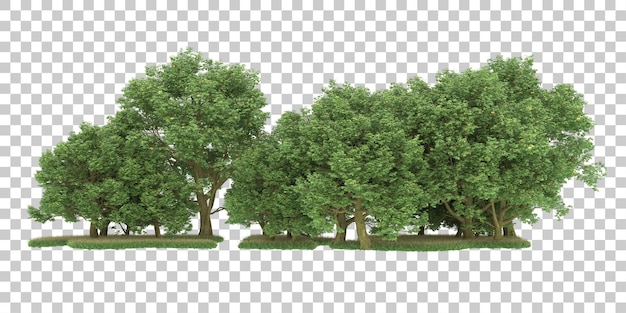 Bosque sobre fondo transparente. Representación 3d - ilustración