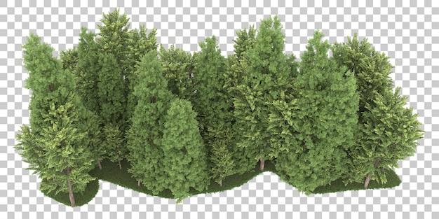 Bosque sobre fondo transparente. Representación 3d - ilustración