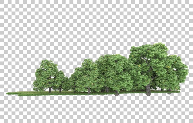 Bosque sobre fondo transparente. Representación 3d - ilustración