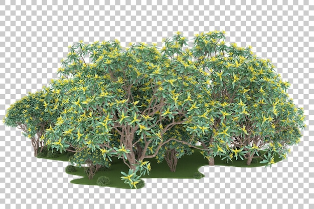 Bosque sobre fondo transparente. Representación 3d - ilustración