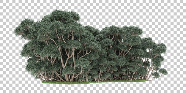 Bosque sobre fondo transparente. Representación 3d - ilustración