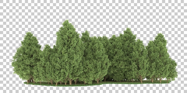 Bosque sobre fondo transparente. Representación 3d - ilustración