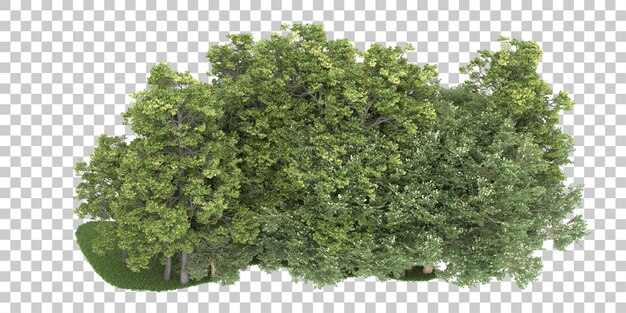 Bosque sobre fondo transparente. Representación 3d - ilustración