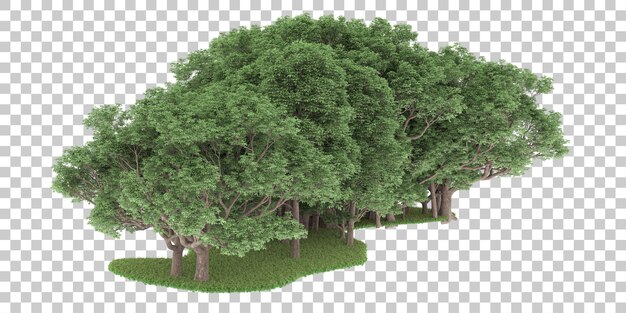 Bosque sobre fondo transparente. Representación 3d - ilustración