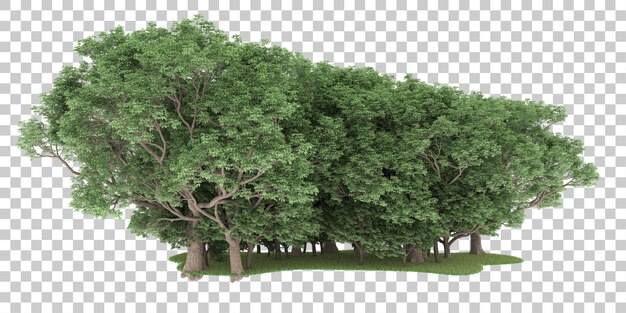 Bosque sobre fondo transparente. Representación 3d - ilustración