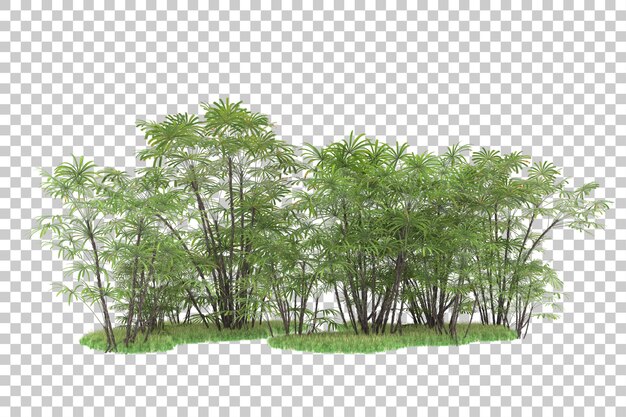 Bosque tropical aislado sobre un fondo transparente ilustración de renderización en 3d