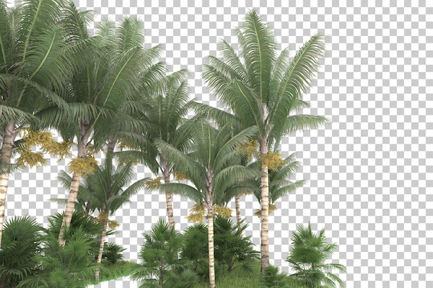 Bosque tropical aislado sobre un fondo transparente Ilustración de renderización en 3D
