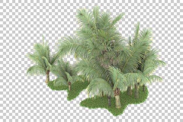 Bosque tropical aislado sobre un fondo transparente Ilustración de renderización en 3D