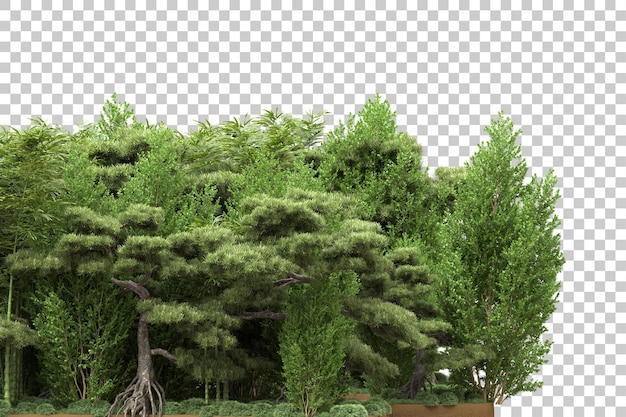 PSD bosque tropical aislado sobre un fondo transparente ilustración de renderización en 3d