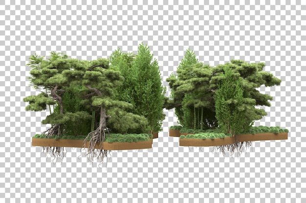 PSD bosque tropical aislado sobre un fondo transparente ilustración de renderización en 3d