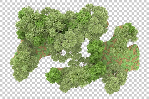 Bosque tropical aislado sobre un fondo transparente Ilustración de renderización en 3D