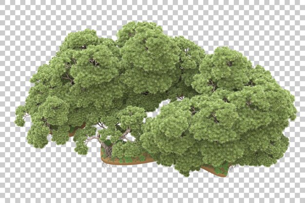 Bosque tropical aislado sobre un fondo transparente Ilustración de renderización en 3D