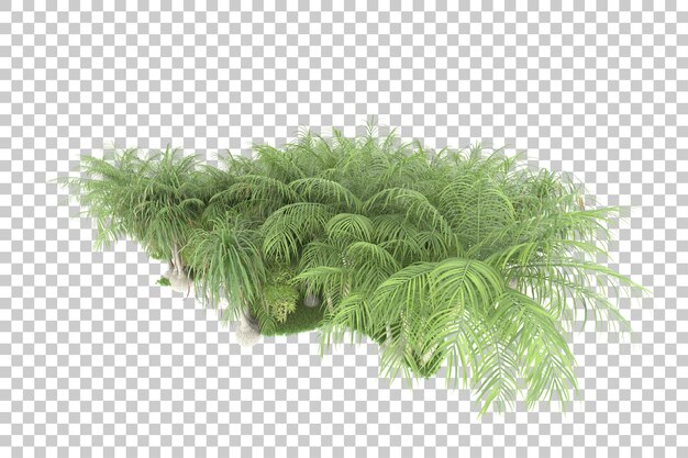 Bosque tropical aislado sobre fondo transparente Ilustración de renderizado 3d