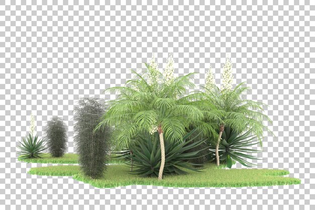 PSD bosque tropical aislado sobre fondo transparente ilustración de renderizado 3d