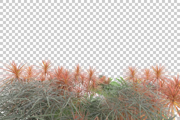 PSD bosque tropical aislado sobre fondo transparente ilustración de renderizado 3d