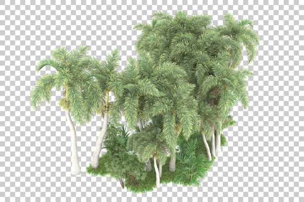 Bosque tropical aislado sobre fondo transparente Ilustración de renderizado 3d