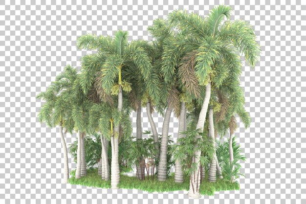 Bosque tropical aislado sobre fondo transparente Ilustración de renderizado 3d