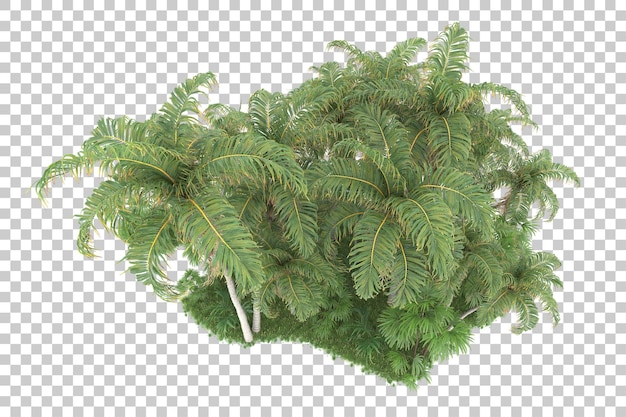 Bosque tropical aislado sobre fondo transparente Ilustración de renderizado 3d