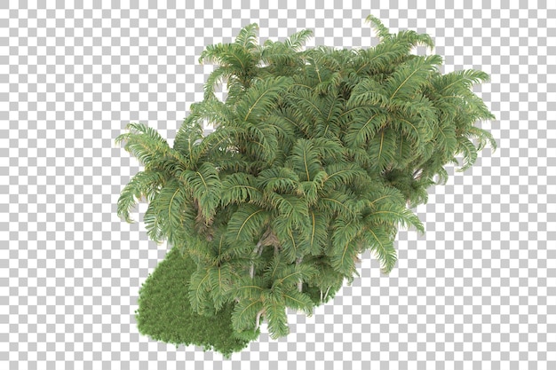 Bosque tropical aislado sobre fondo transparente Ilustración de renderizado 3d