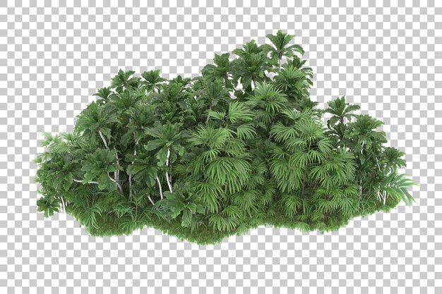 PSD bosque tropical aislado sobre fondo transparente ilustración de renderizado 3d