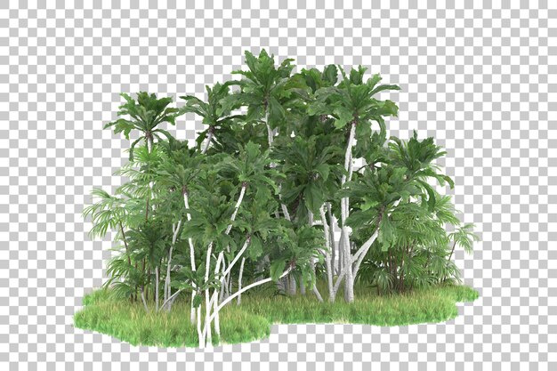 PSD bosque tropical aislado sobre fondo transparente ilustración de renderizado 3d