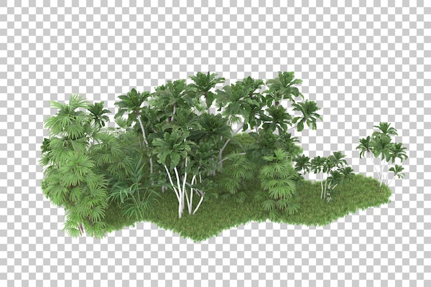 Bosque tropical aislado sobre fondo transparente ilustración de renderizado 3d