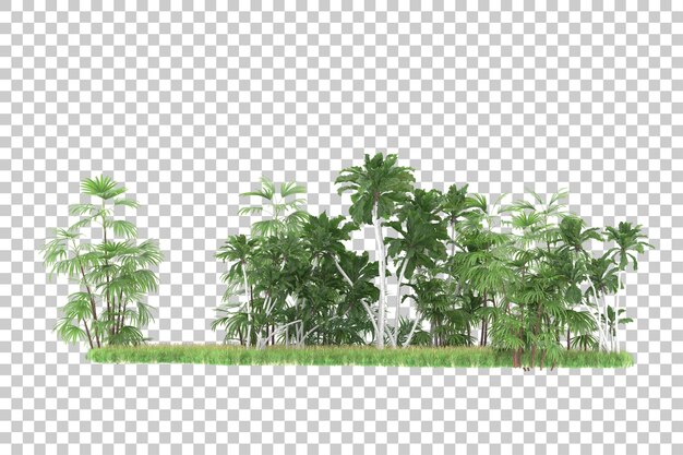 PSD bosque tropical aislado sobre fondo transparente ilustración de renderizado 3d