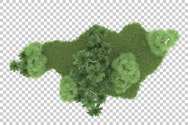 PSD bosque tropical aislado sobre fondo transparente ilustración de renderizado 3d