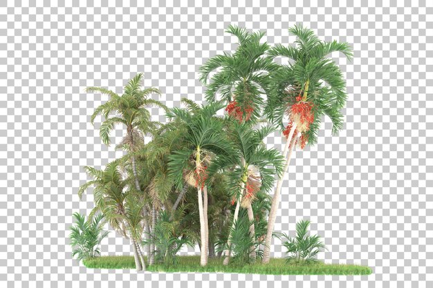 Bosque tropical aislado sobre fondo transparente Ilustración de renderizado 3d