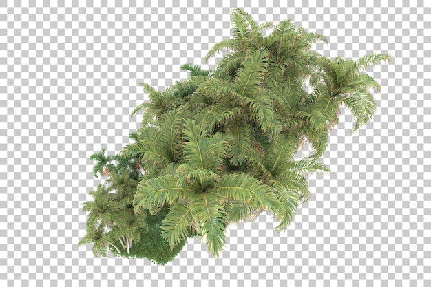 Bosque tropical aislado sobre fondo transparente Ilustración de renderizado 3d