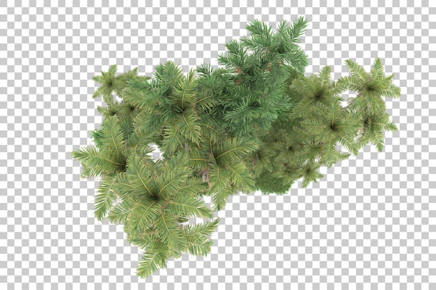 Bosque tropical aislado sobre fondo transparente Ilustración de renderizado 3d