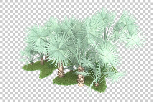 PSD bosque tropical aislado sobre fondo transparente ilustración de renderizado 3d