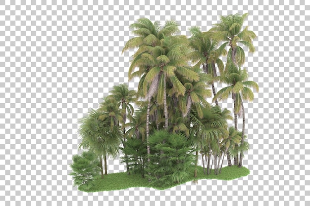 Bosque tropical aislado sobre fondo transparente Ilustración de renderizado 3d