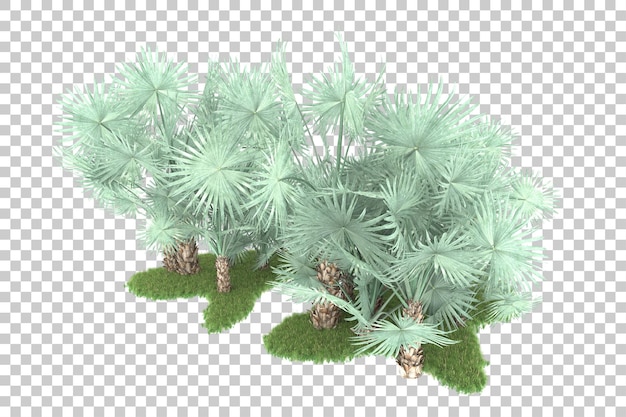 Bosque tropical aislado sobre fondo transparente Ilustración de renderizado 3d