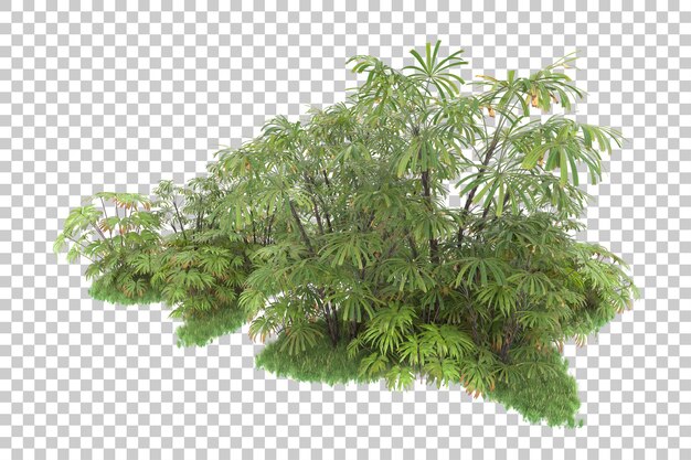Bosque tropical aislado sobre fondo transparente Ilustración de renderizado 3d